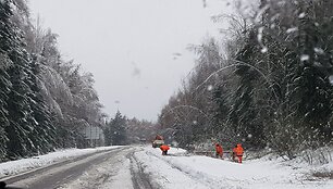 Gamtos i&scaron;daigos &Scaron;iaulių apskrityje