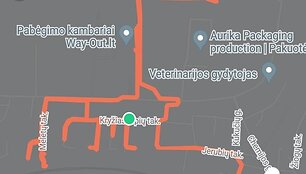 Nepilnametės paie&scaron;ka: pažymėtos teritorijos, kurias spėta patikrinti.
