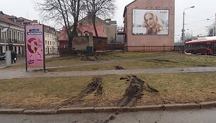 Įvykio vietoje