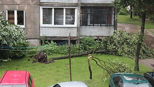 Vėtra Mažeikiuose