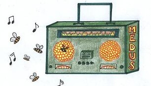 Gyvos muzikos klubas &bdquo;Medus&ldquo;