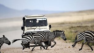 Tanzanijoje