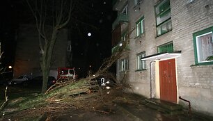 Medis užvirto ant daugiabučio. 