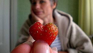Meilė mamai.