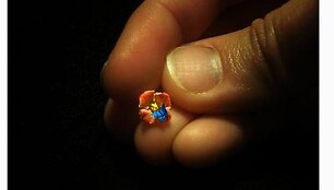 Mui-Ling Teh origamis &ndash; gėlė ir drugelis.