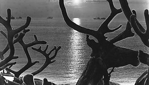 &bdquo;Prie Karos jūros&ldquo;. Navigacija, 1985 m.