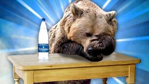 Mineralinio vandens &bdquo;Vytautas&ldquo; virusinė reklama