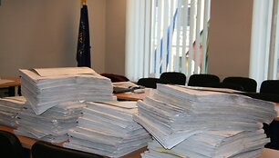 Referendumo iniciatyvinė grupė pastarosiomis dienomis tikrina ir skaičiuoja surinktus para&scaron;us. 