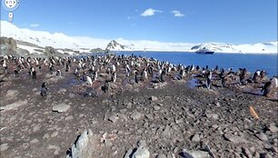 &bdquo;Google Street View&ldquo; Antarktidoje.