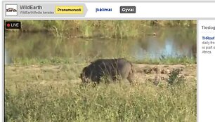 &bdquo;YouTube&ldquo; jau galima žiūrėti tiesiogines transliacijas, kad ir i&scaron; safario.