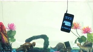 Specialia medžiaga padengtas telefonas, muzikos grotuvas ar kitas įrenginys puikiai veikia net panardintas į vandenį.