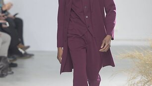 &bdquo;Issey Miyake&ldquo; 2016 m. rudens-žiemos kolekcijos modelis