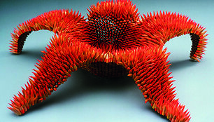 Jennifer Maestre skulptūra &bdquo;Astras&ldquo;