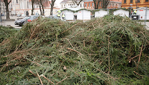 Kauno Kalėdų eglės statybos