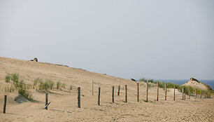 Naglių gamtinis rezervatas