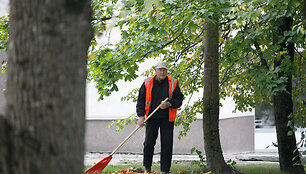 Karantininis rytas Raseiniuose