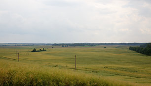 Tytuvėnų apžvalgos bokštas