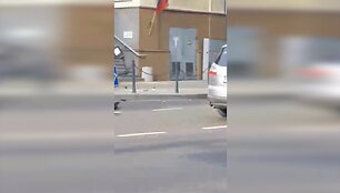 60f0605e654e6video_60f06025108c3