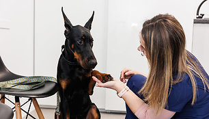 Veterinarijos centras