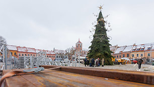 Kauno Kalėdų eglės pristatymas