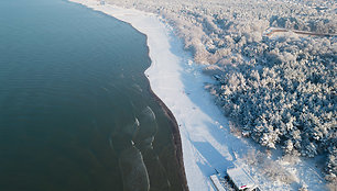 Palanga žiemą