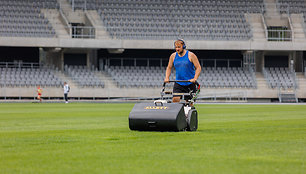 Stadiono veja