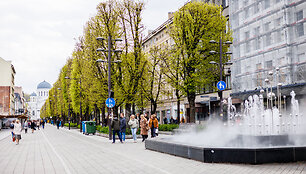 Kauno gėlynai