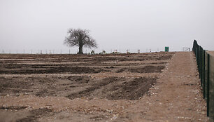 Vainatrakio kapinės