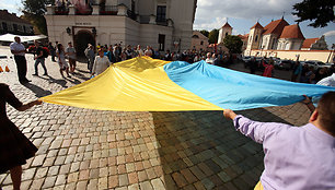 Ukrainos vėliava