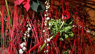 Floristų renginys rotu&scaron;ėje