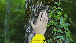 Tvarumo link: kiek medžių išsaugo „Mano BŪSTO“ klientai?
