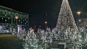 Anyk&scaron;čių eglė