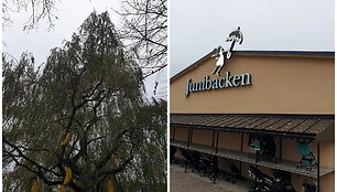 Prie muziejaus &ndash; bananų medis ir vežimėlio parkingas