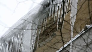 Varvekliai - pastatų savininkų galvos skausmas