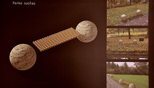 Sandros Montvilaitės projektas