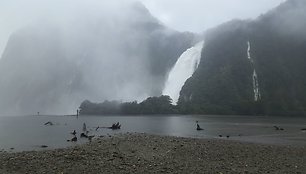 Milford Sound kriokliai