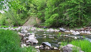 Akmenoje