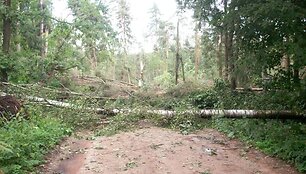 Audros padariniai Kauno rajono mi&scaron;ke