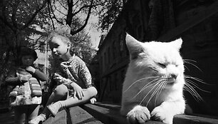 Kaunas, 1977