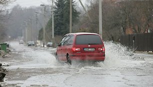 Patvinusi Pabrėžos gatvė