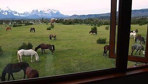 Čilė, Patagonija
