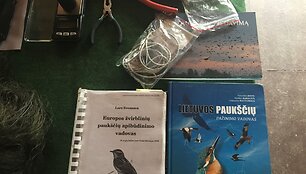 Pauk&scaron;čių žiedavimas
