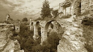 Al&scaron;ėnų rūmai