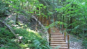 Arlavi&scaron;kių botaniniame draustinyje įrengtas naujas pažintinis takas.