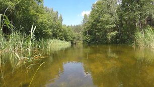 Ekspedicijos „Baidarė upėje“ dalyviai plaukia Lakaja