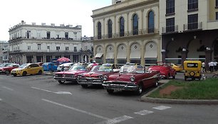 Šiais automobiliais havaniečiai nevažinėja. Jie išpuošti turistams. Valanda – 40 dolerių