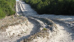 I&scaron;važinėtas kopagūbris