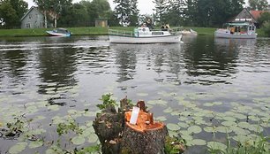 Šeštadienį ant iškirstų medžių kelmų liepsnojo gedulo žvakutės. 