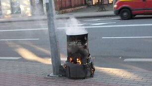 Dėl niokojamų ir vagiamų nukenčia miesto ki&scaron;enė. 