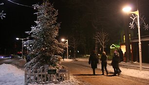 J.Basanavičiaus gatvėje įsikūrė skirtingų &scaron;alių tradicijas atspindinčios eglutės.